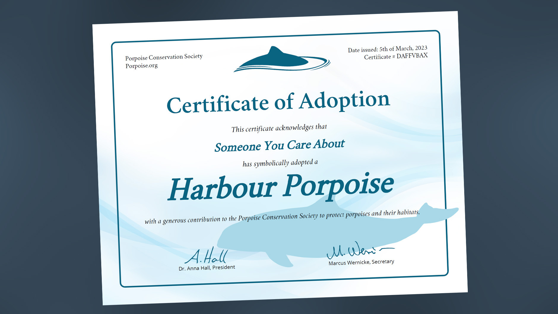 Adopt a Harbour Porpoise Adoption Certificate
